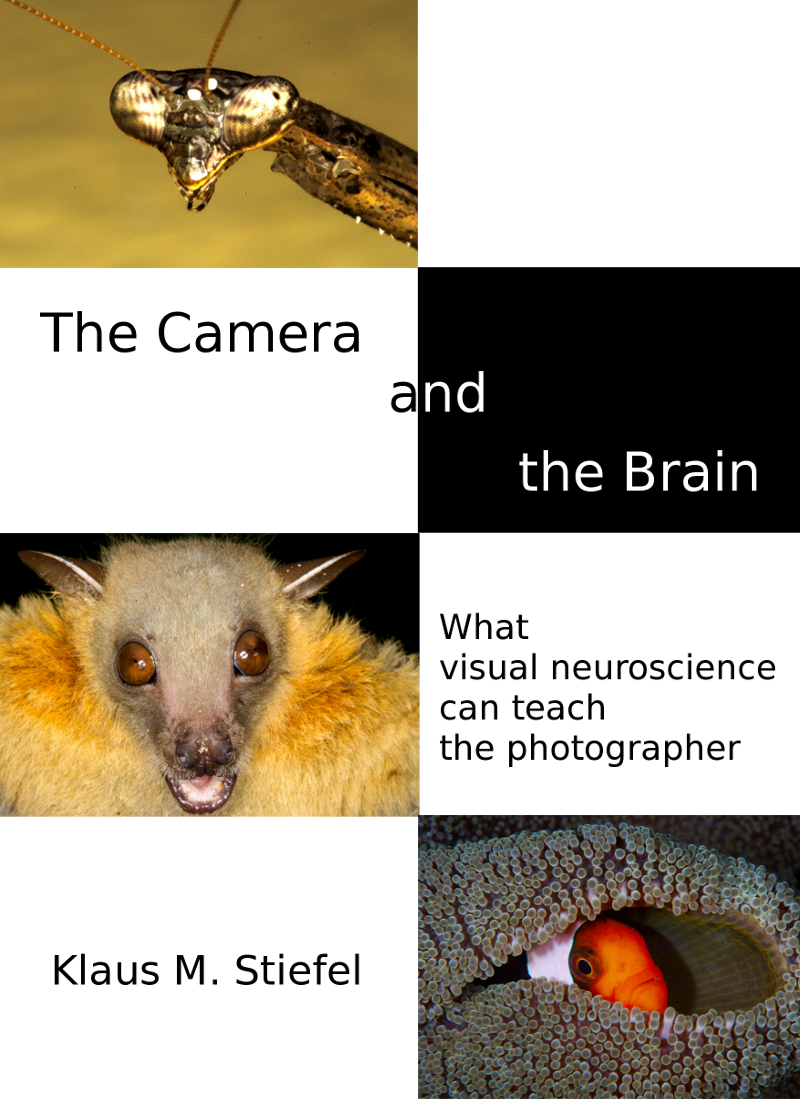 CamerBrain_sml.jpg