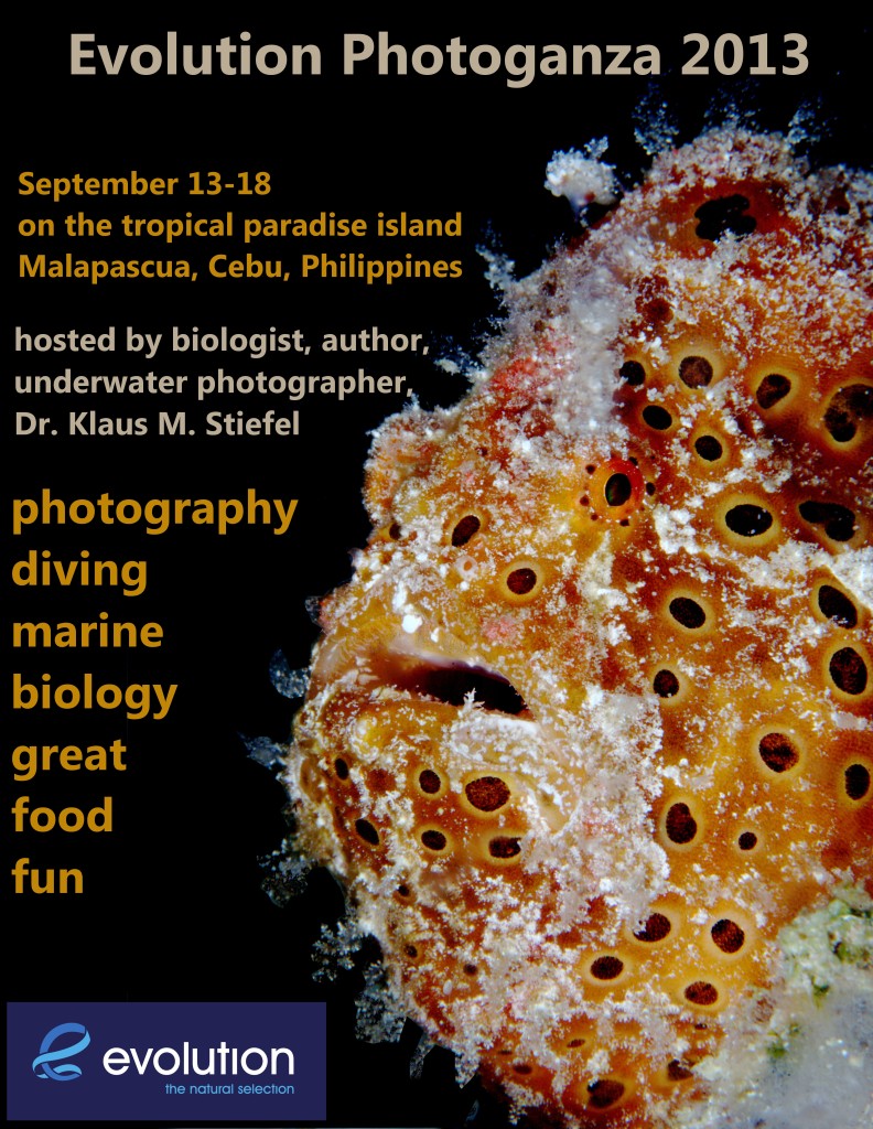 scuba diving marine biology underwater photography