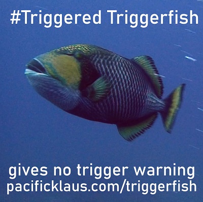 Triggered triggerfish give no TW
