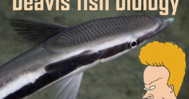 Fish named after Beavis